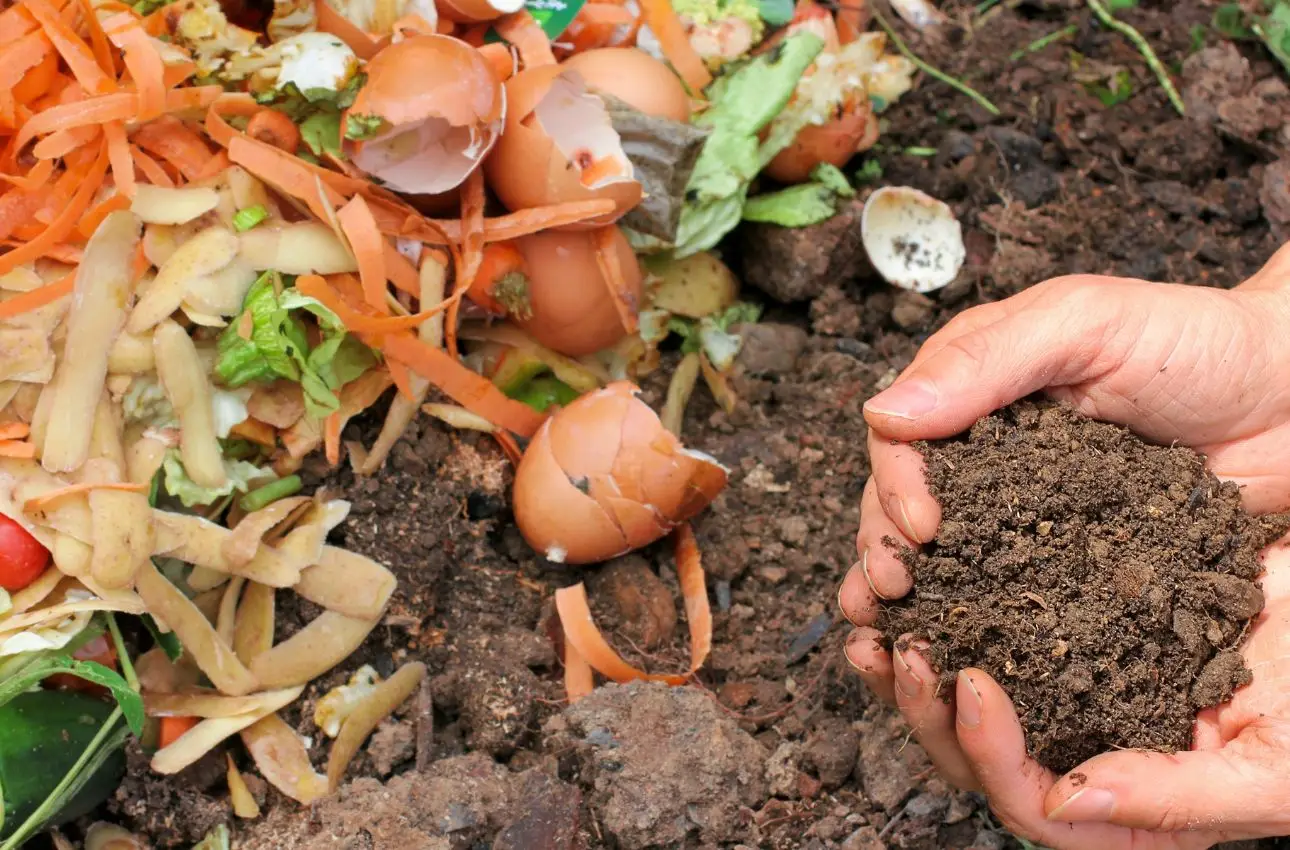 Come si fa a fare il compostaggio domestico in giardino? La guida per un terriccio ricco e fertile