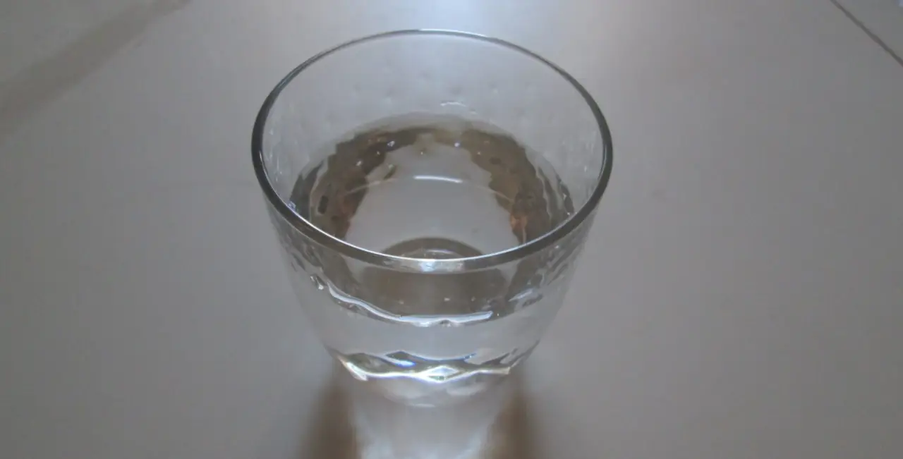 Metti subito una ciotola d’acqua vicino al termosifone: ecco cosa succede all’aria di casa