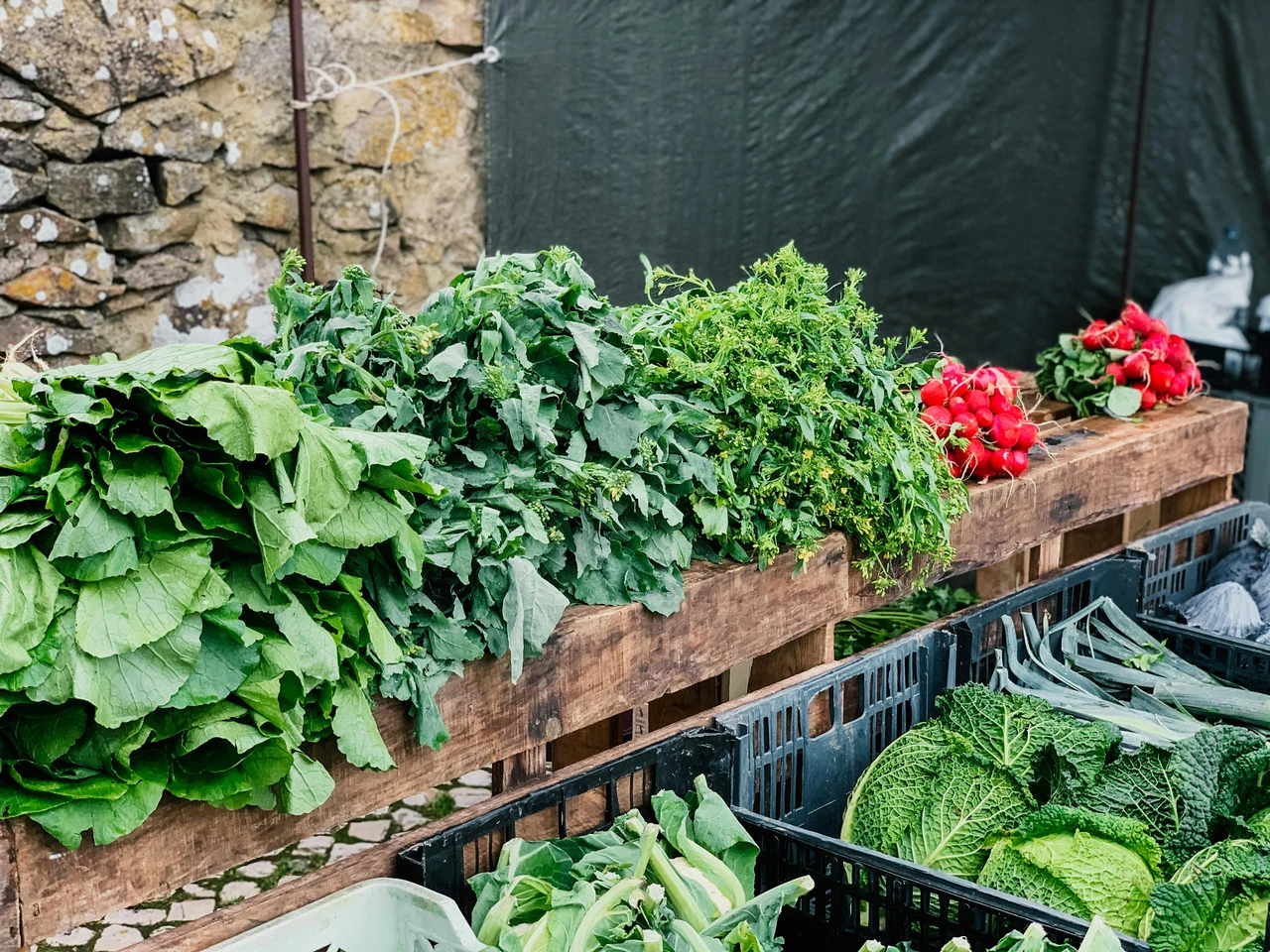 Il segreto per coltivare verdura e piante in casa tutto l’anno senza fatica