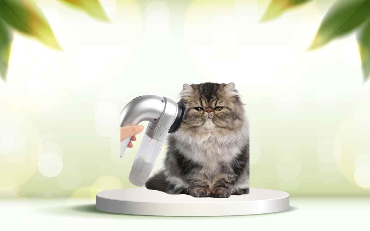 Elimina i peli di animali in casa con SpazzolAmica: prova la pulizia facile