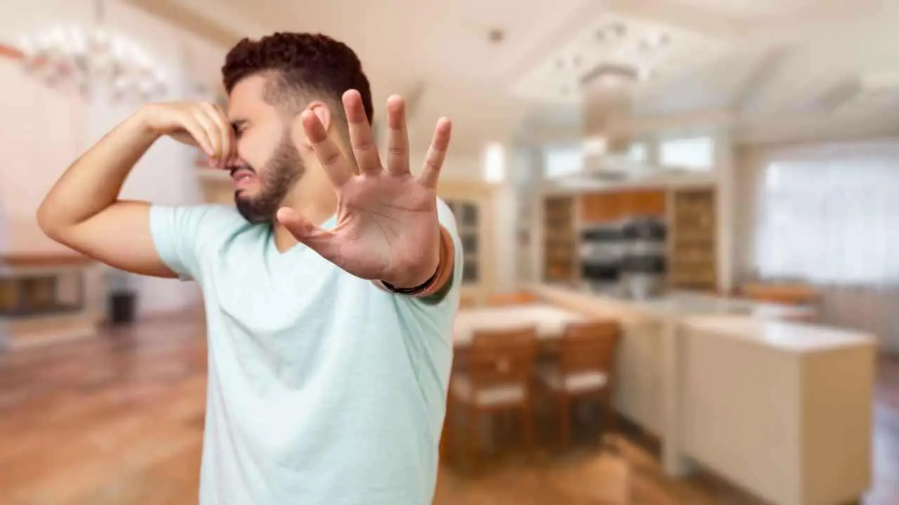 Senti improvvisamente un forte odore di marcio in casa? Ecco cosa significa e quando preoccuparsi